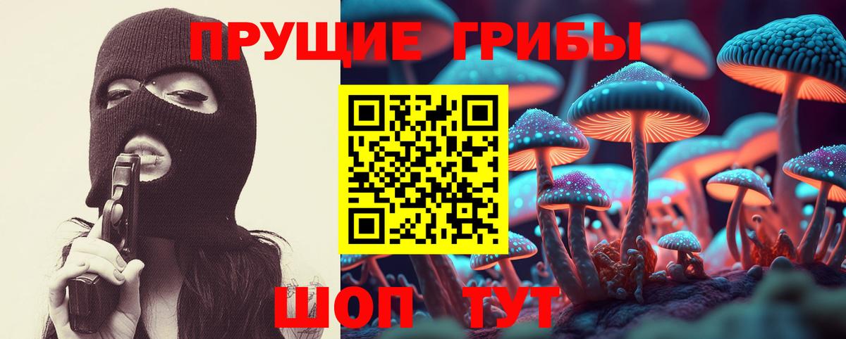 Галлюциногенные грибы прущие грибы Москва